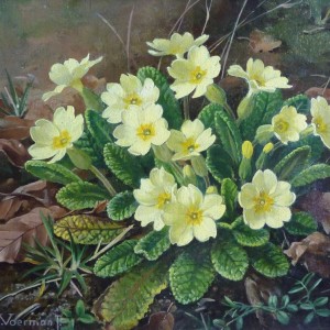 Jan Voerman jr. (1890-1976) - Primula