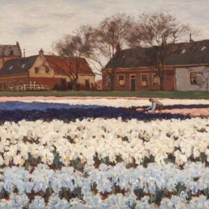 A.L. Koster – Hyacintenkwekerij – ca. 1913
