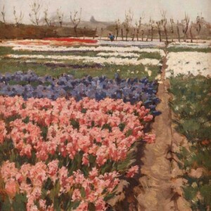 A.L. Koster – Hyacintenvelden – 1924