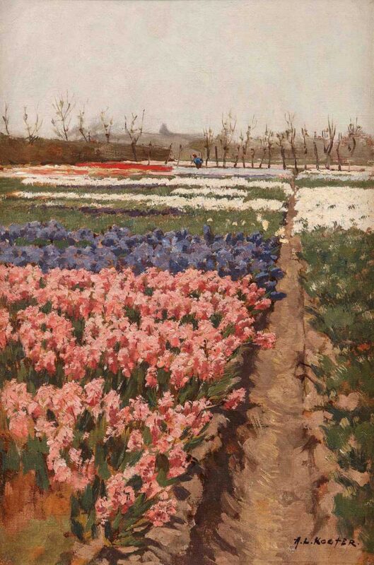 A.L. Koster – Hyacintenvelden – 1924