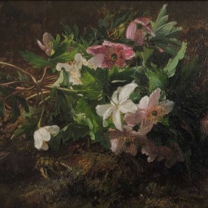 Gerardina Jacoba van de Sande Bakhuyzen (1826-1895) - Anemonen